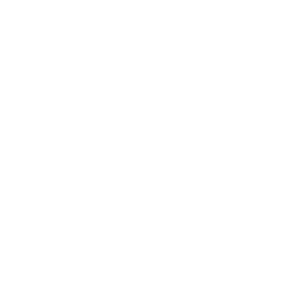 TTTech Auto Logo White