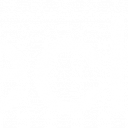 TTTech Auto Logo White